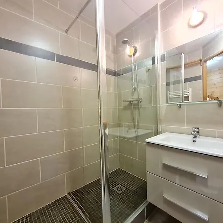 Balcon Des Pistes - 217-218 - Appt Confort 8p * 莱德萨阿尔卑斯