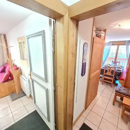 公寓 Balcon Des Pistes - 217-218 - Appt Confort 8p
